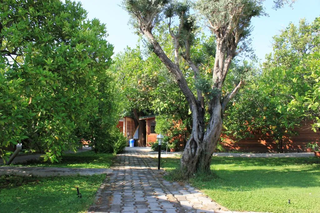 Bungalow,Bahçe Manzaralı