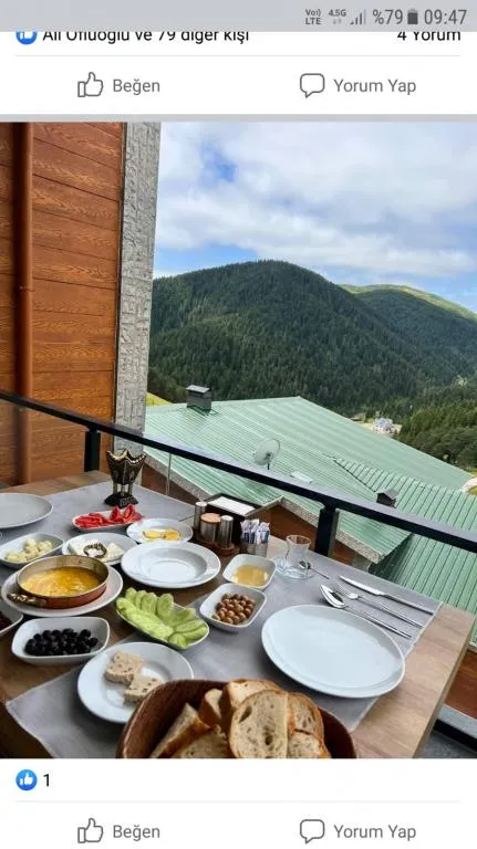 Deluxe Room,Orman Manzaralı,Balkonlu