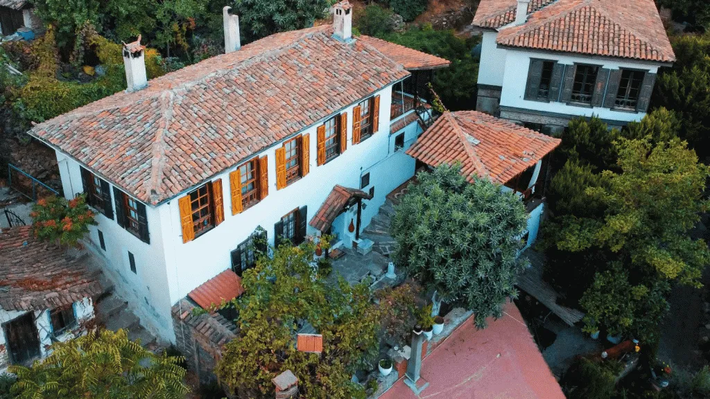 Genel Görünüm