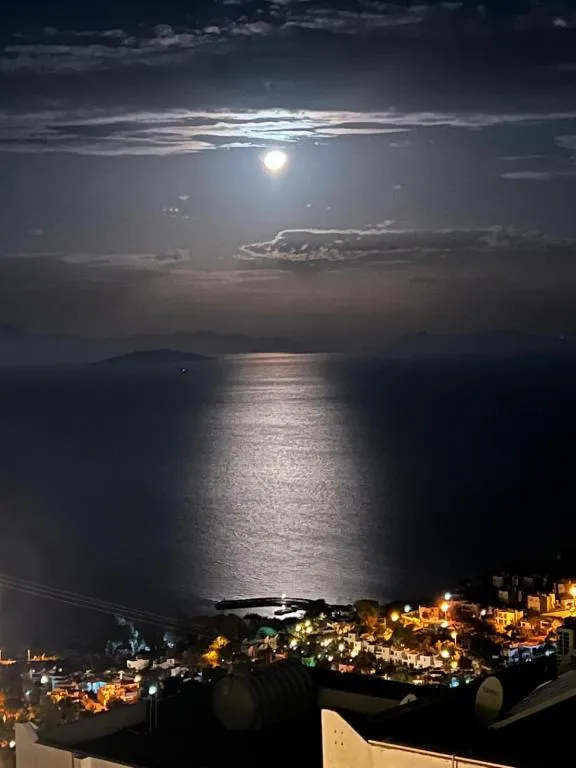 Diğer
