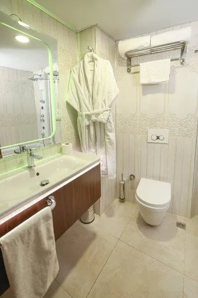 Standart Oda,Şehir Manzaralı,Fransız Balkonlu