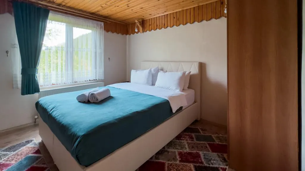 Dağ Evi 2+1