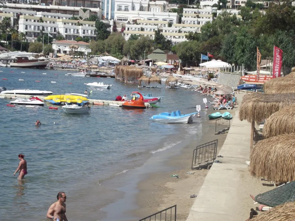 Genel Görünüm