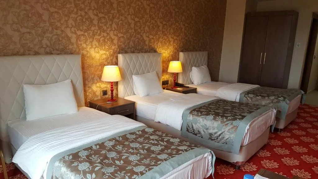 Standart Oda,Şehir Manzaralı