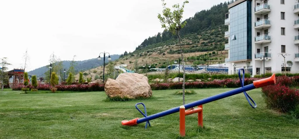 Genel Görünüm