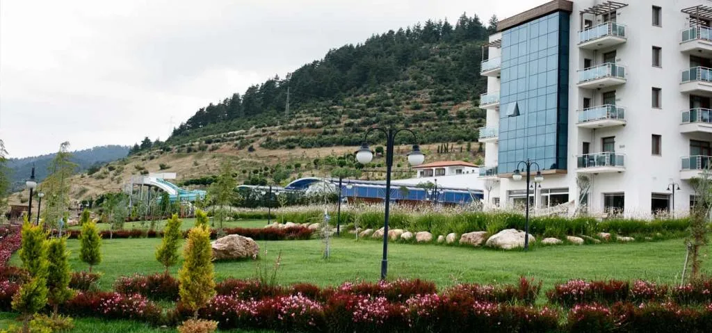 Genel Görünüm