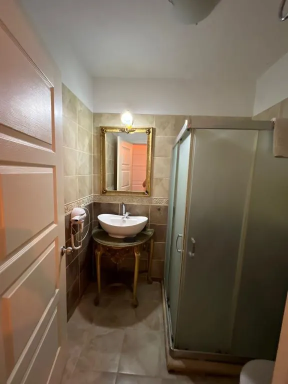 Geniş Standart Oda,Şehir Manzaralı