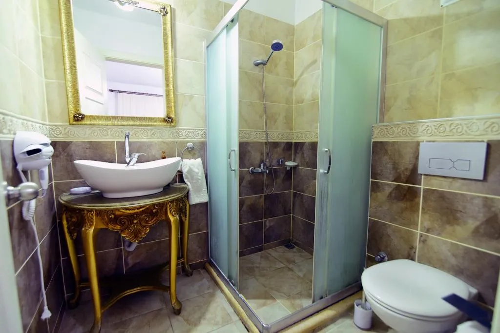 Geniş Standart Oda,Şehir Manzaralı