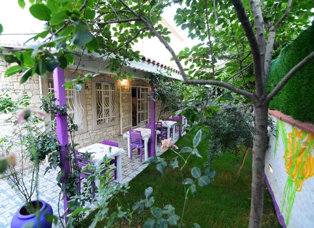 Genel Görünüm