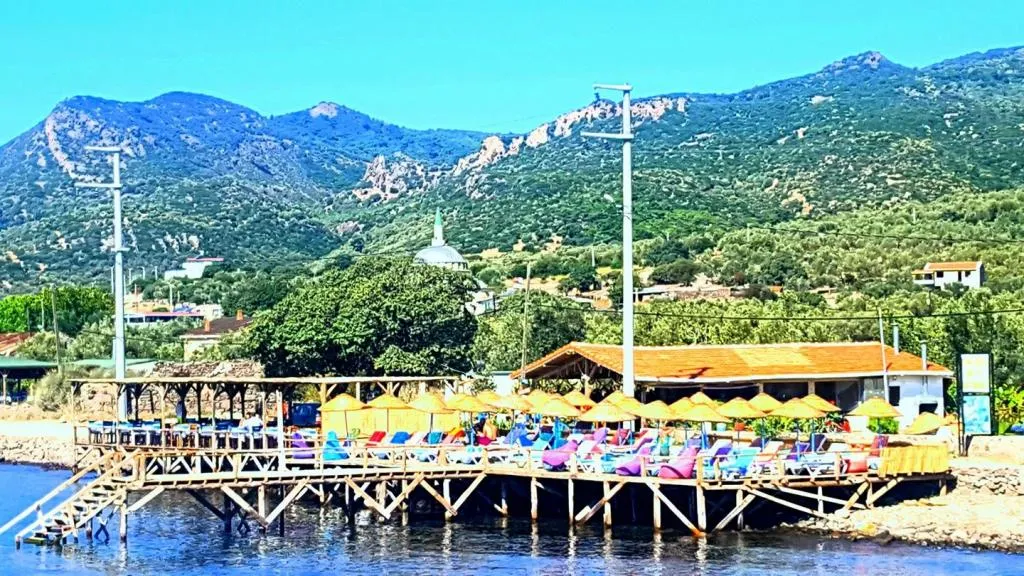 Genel Görünüm