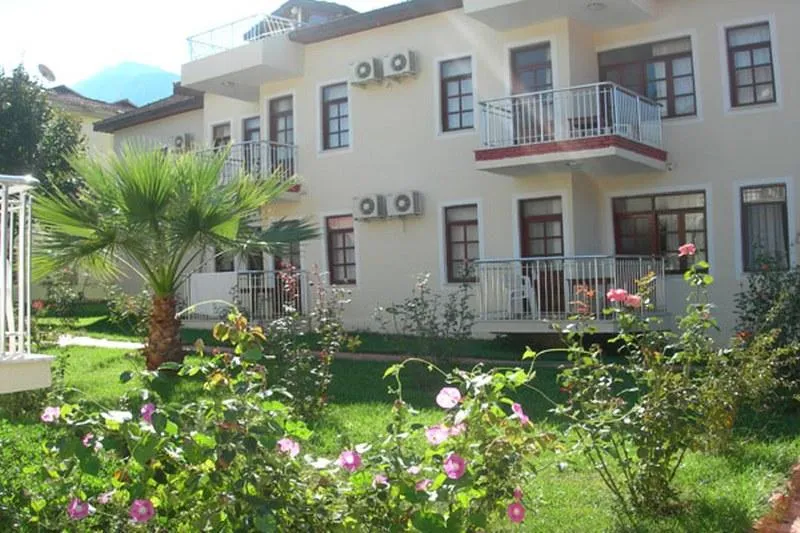 Genel Görünüm