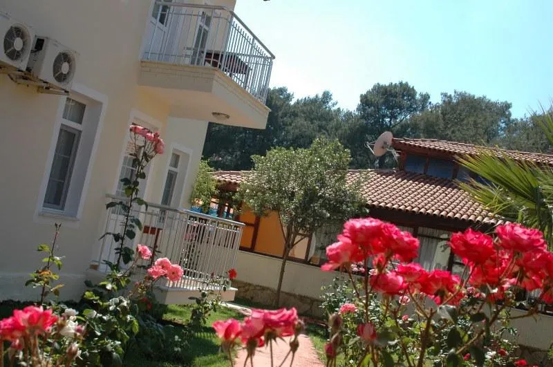 Genel Görünüm