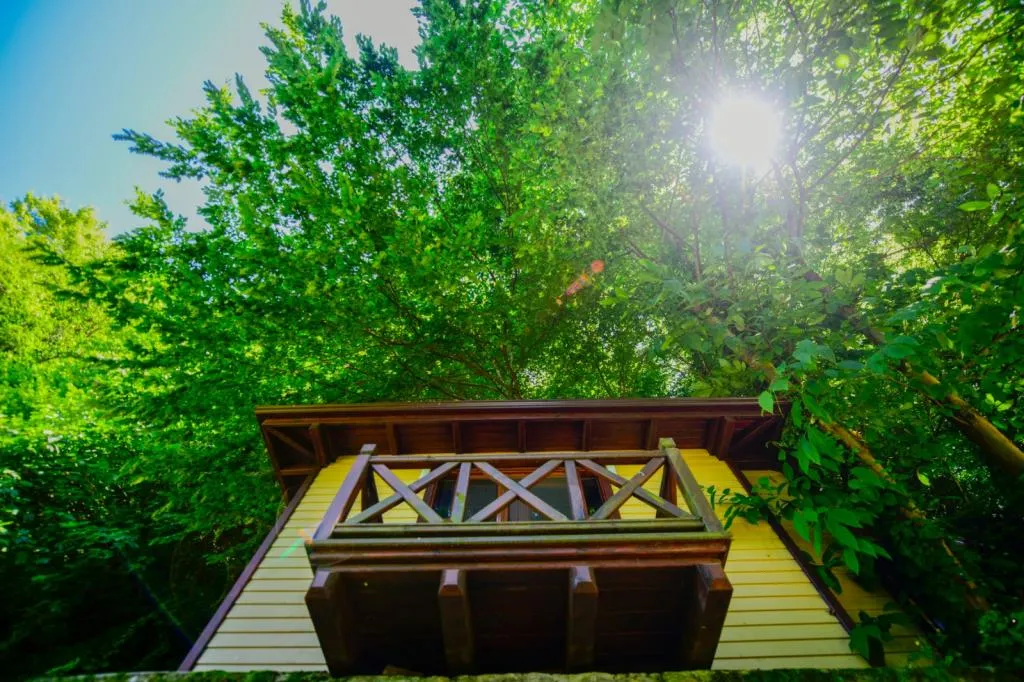 Standart Bungalov