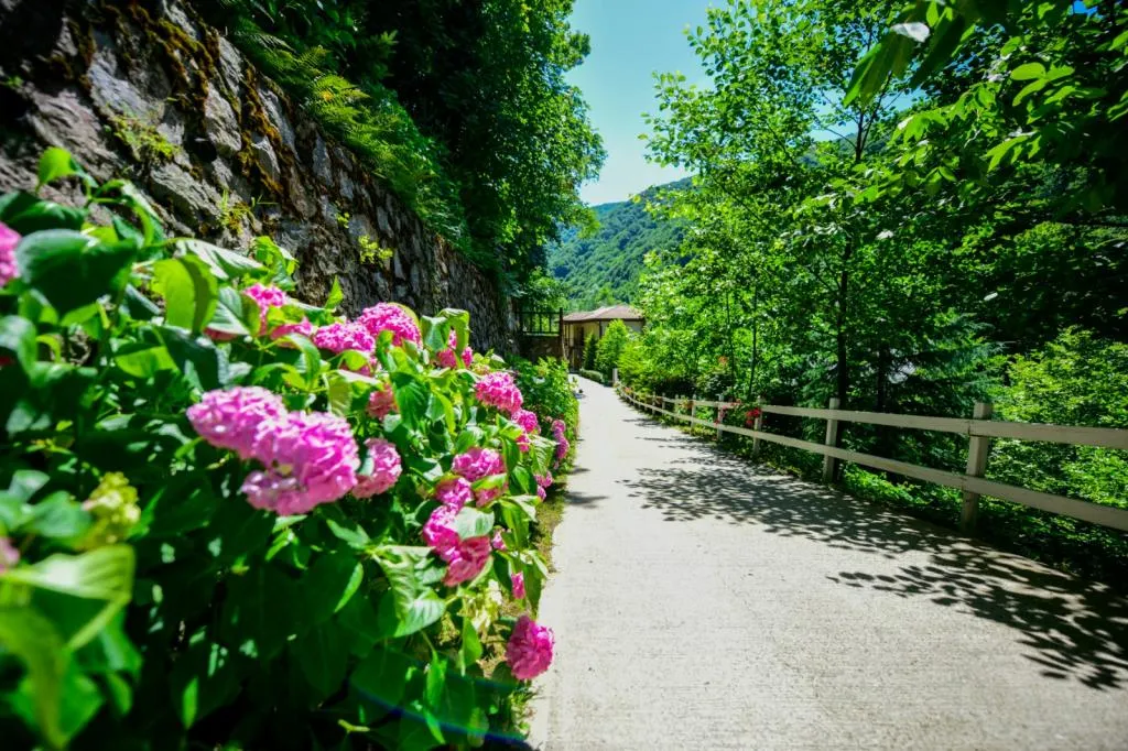 Standart Bungalov
