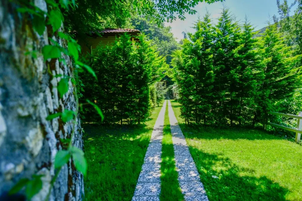 Standart Bungalov