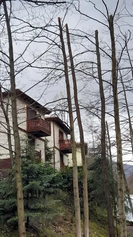 Süit Bungalov