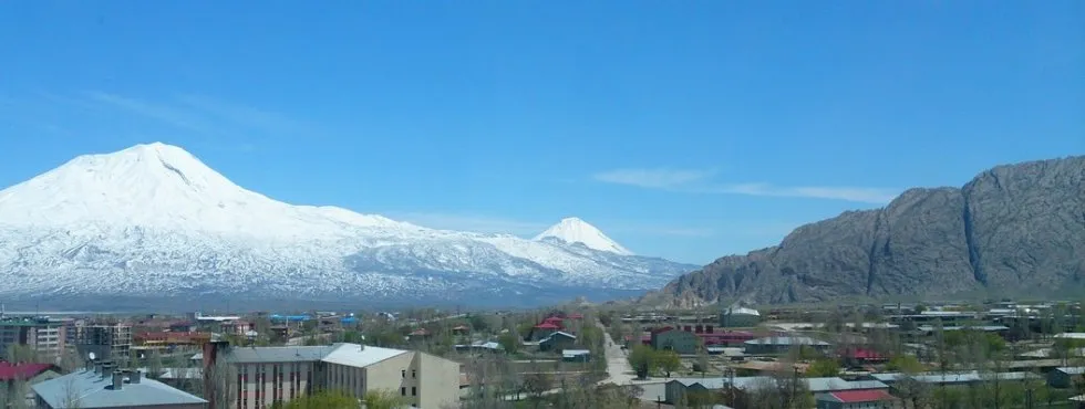 Genel Görünüm