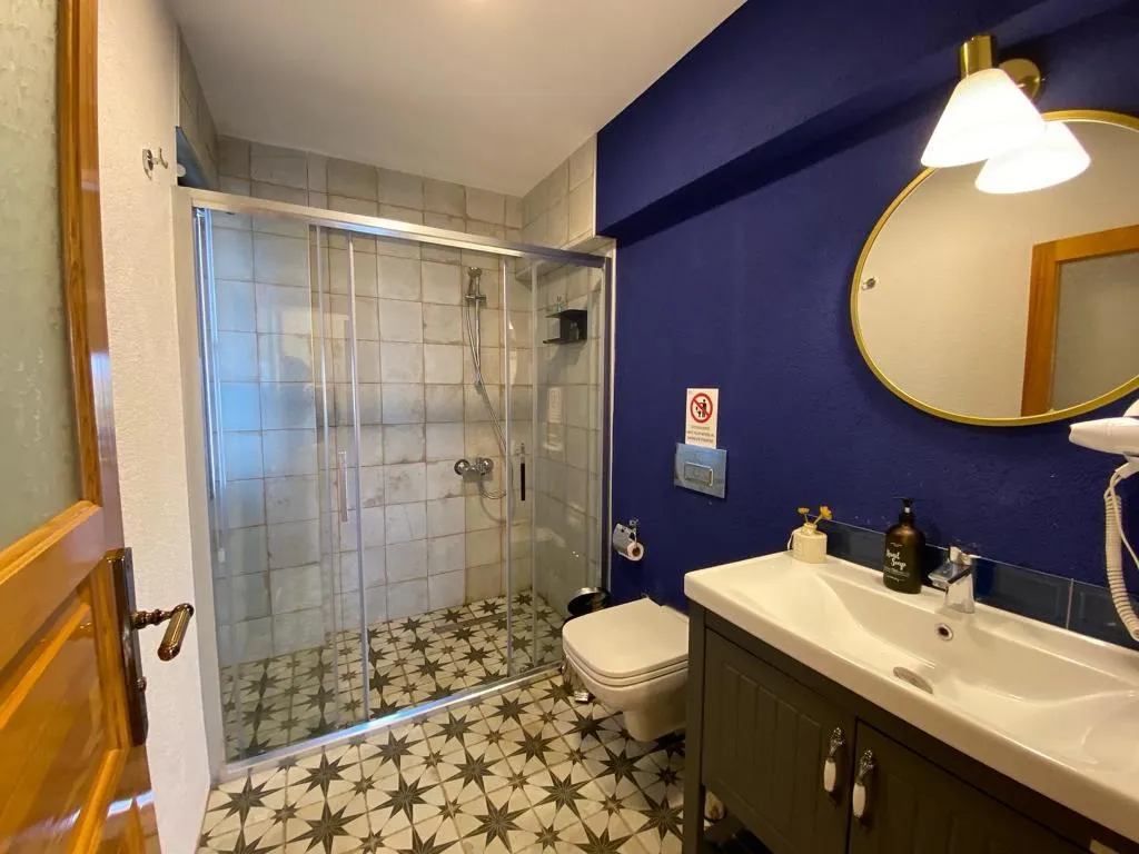 Deluxe Oda-Sigara İçilmez,Deniz Manzaralı,Bahçe Katı