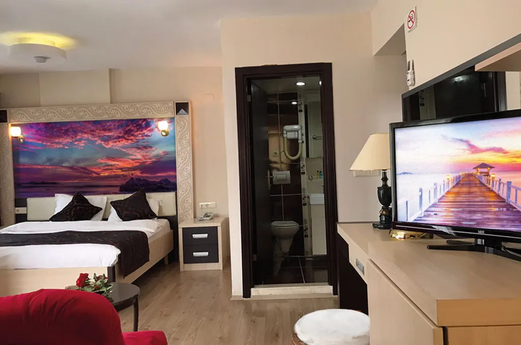 Standart Oda,Şehir Manzaralı
