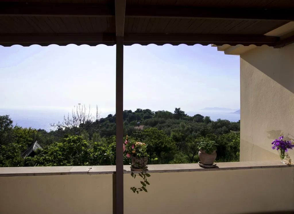 Deluxe Jakuzili Suite,Deniz Manzaralı