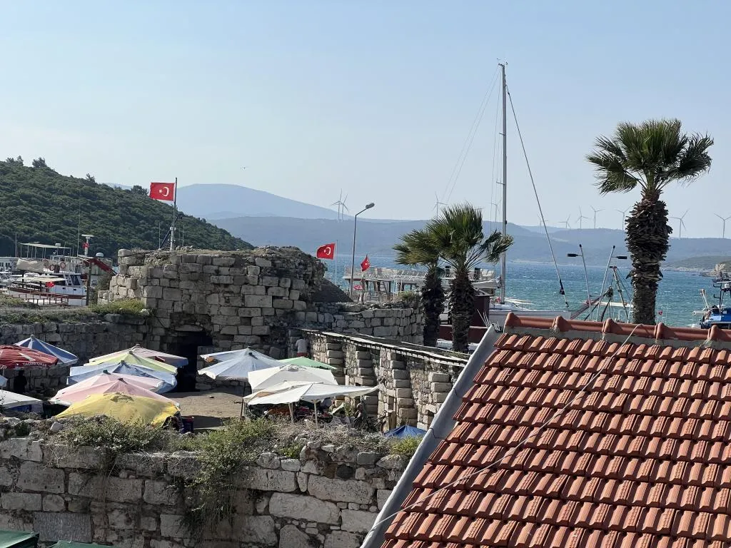 Genel Görünüm