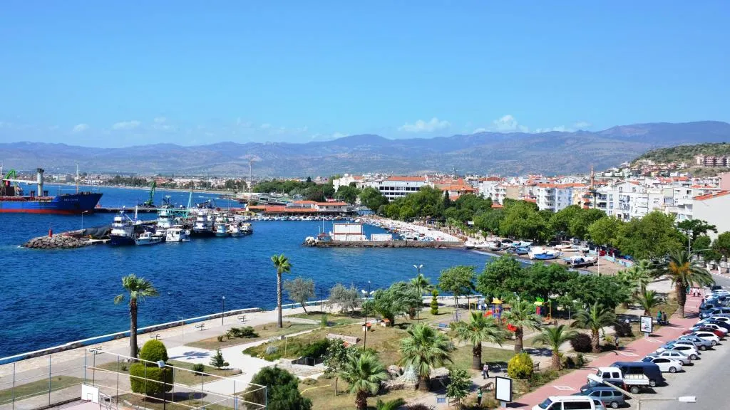 Genel Görünüm