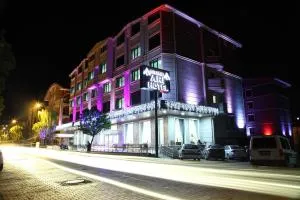 Grand Arı Otel
