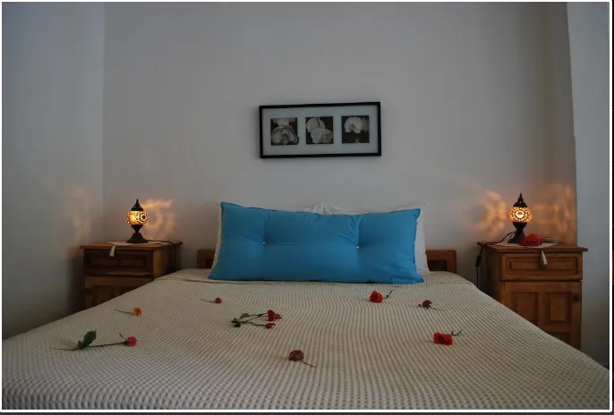 Standart Oda,Bahçe Manzaralı
