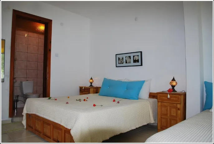 Triple,Bahçe Manzaralı