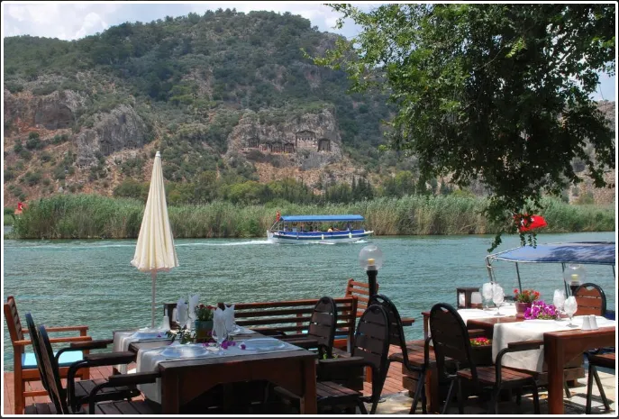 Genel Görünüm