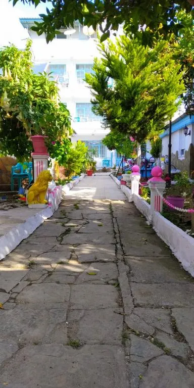 Genel Görünüm