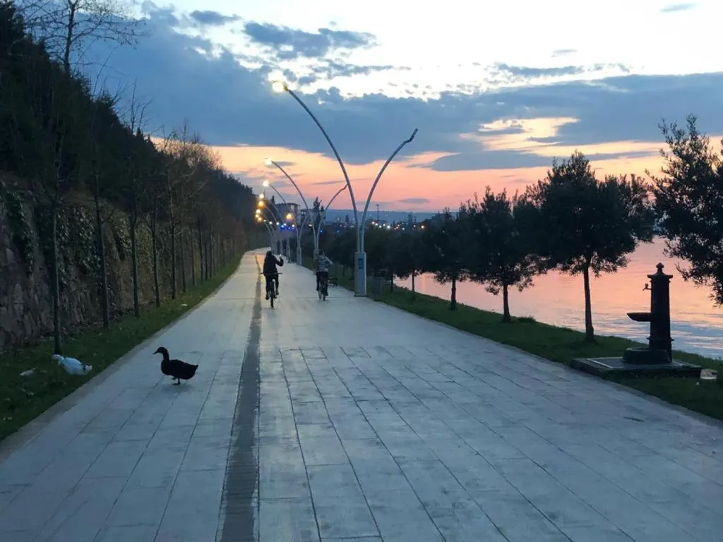 Genel Görünüm