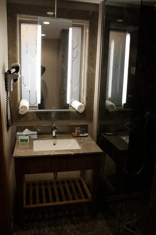 Deluxe Oda,Şehir Manzaralı