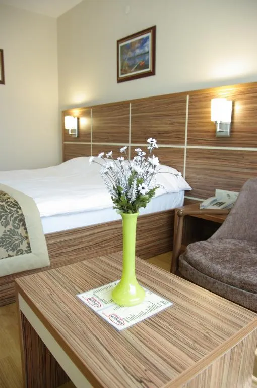 Standart Oda,Şehir Manzaralı