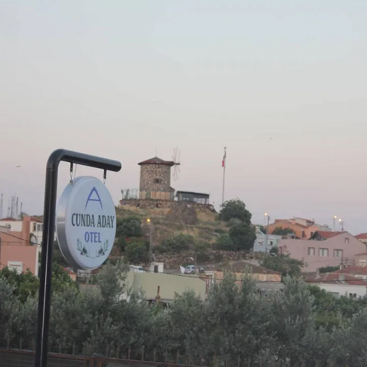 Genel Görünüm