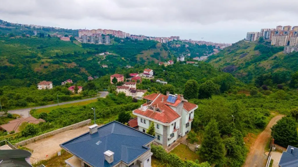 Diğer