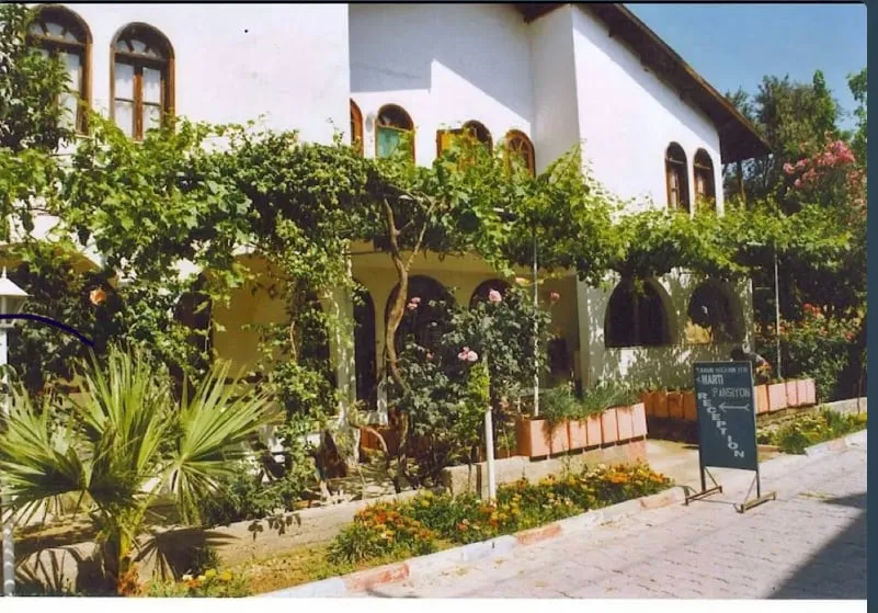 Genel Görünüm