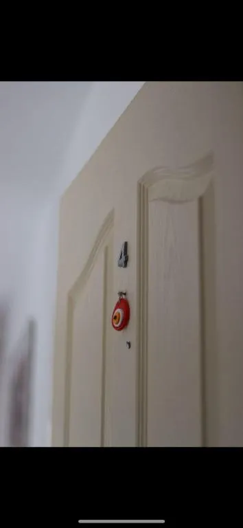 Genel Görünüm