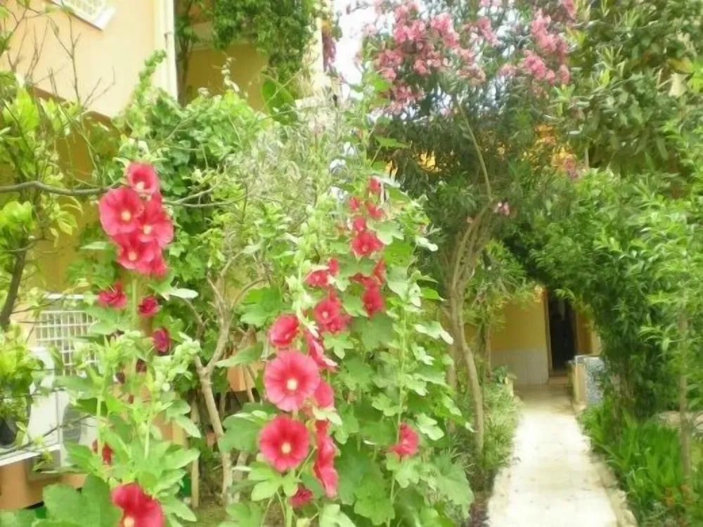 Bahçe