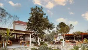Oase Garden
