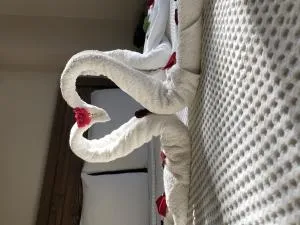Nehir Suit Otel