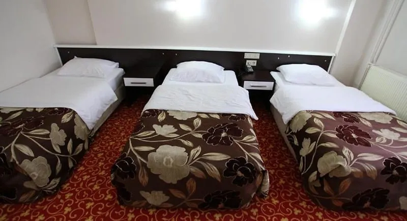Standart Oda