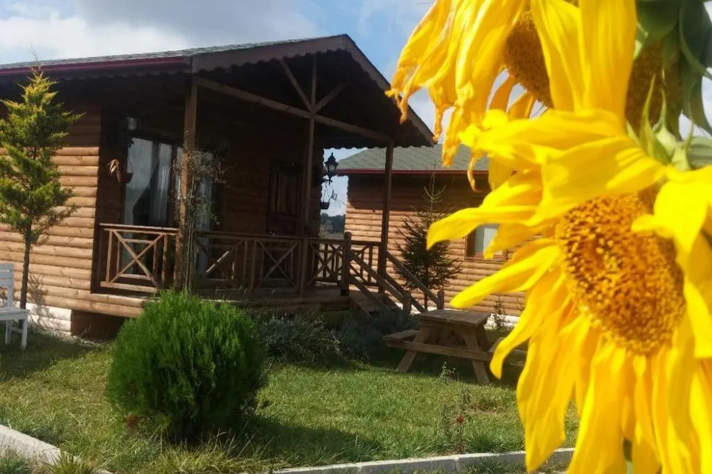 Çift Kişilik,Göl Manzaralı