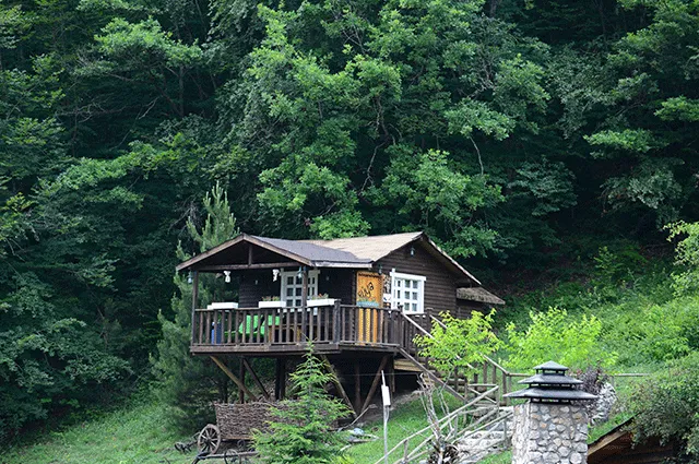 Standart Oda,Bahçe Manzaralı