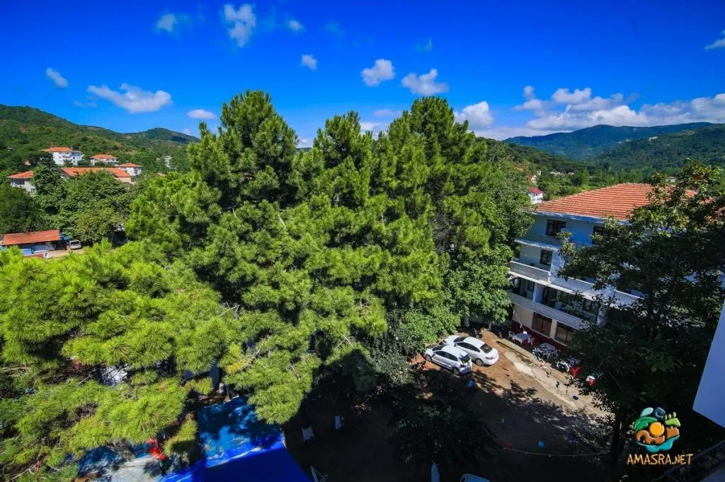 Standart Oda,Yandan Deniz Manzaralı,Balkonlu
