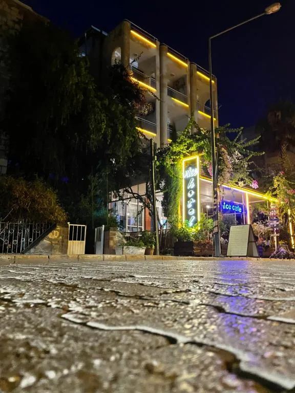 Diğer