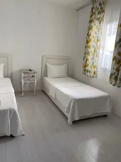 Genel Görünüm