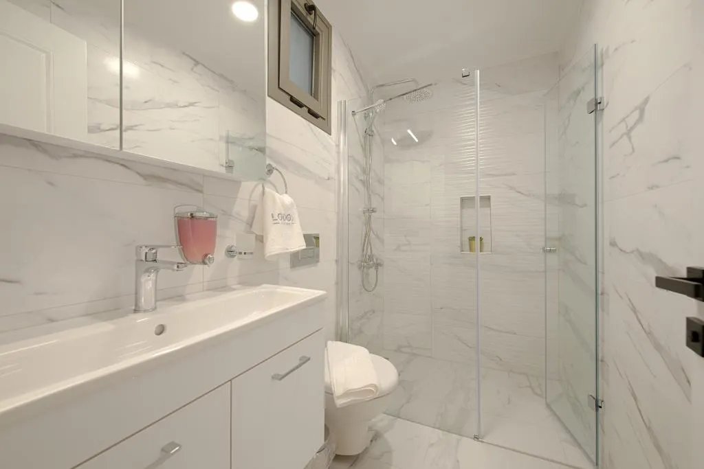 1+1 Loft Daire