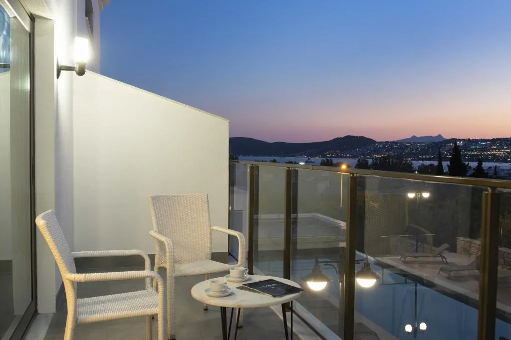 1+1 Loft Daire