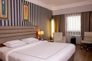Anemon Grand Eskişehir Otel
